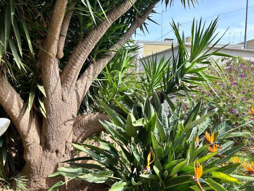 巴里Giardino A Mare公寓 外观 照片