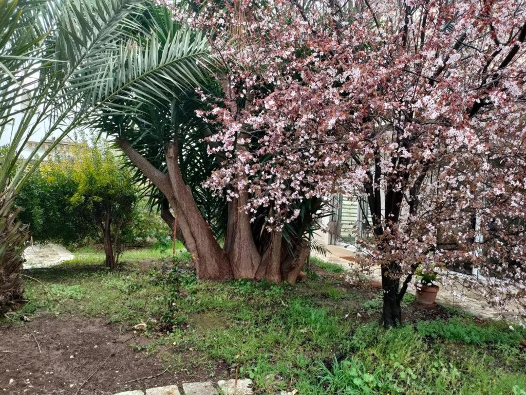 巴里Giardino A Mare公寓 外观 照片